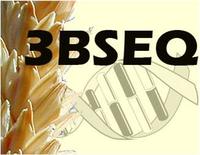 3BSeq