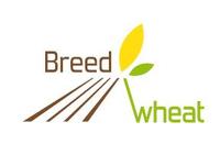 BreedWheat