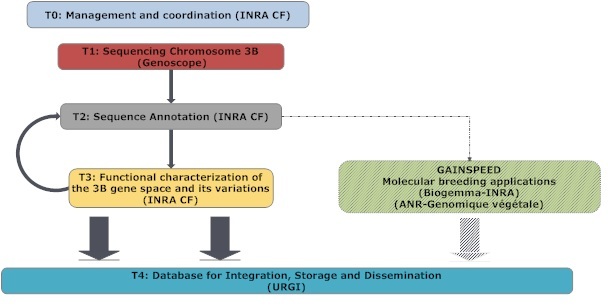 3Bseq tasks